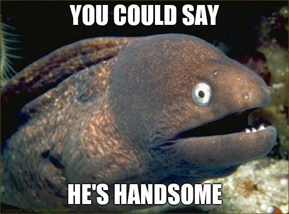 Bad Joke Eel Meme | YOU COULD SAY HE'S HANDSOME | image tagged in memes,bad joke eel | made w/ Imgflip meme maker