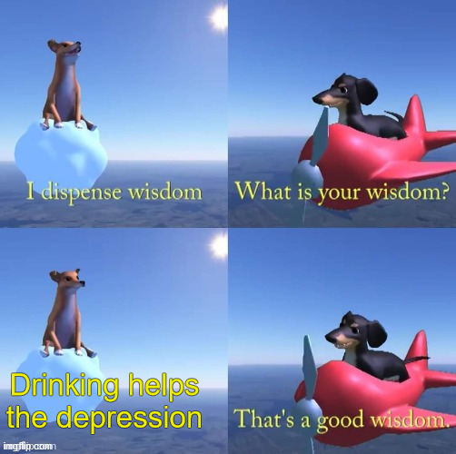 Wisdom dog | Drinking helps the depression | image tagged in wisdom dog | made w/ Imgflip meme maker
