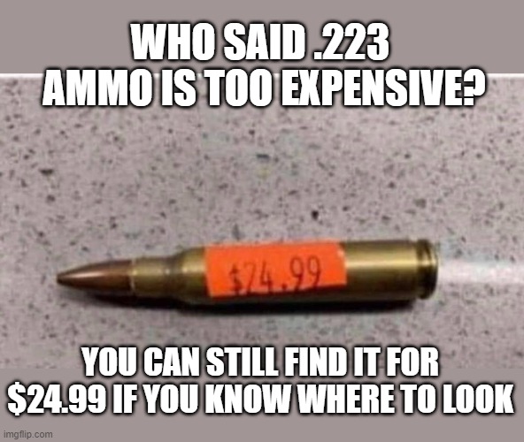 Ammo prices | WHO SAID .223  AMMO IS TOO EXPENSIVE? YOU CAN STILL FIND IT FOR $24.99 IF YOU KNOW WHERE TO LOOK | image tagged in ammo | made w/ Imgflip meme maker