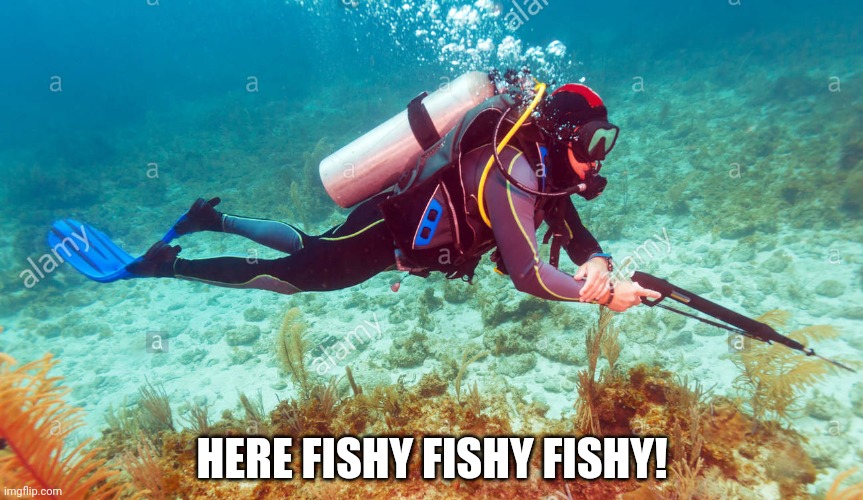 HERE FISHY FISHY FISHY! | made w/ Imgflip meme maker