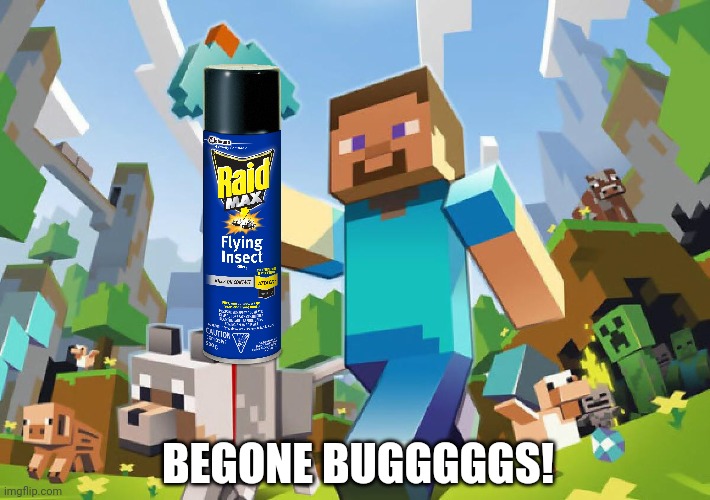 Minecraft  | BEGONE BUGGGGGS! | image tagged in minecraft | made w/ Imgflip meme maker
