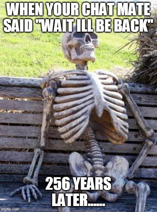 GHOSTED | WHEN YOUR CHAT MATE SAID "WAIT ILL BE BACK"; 256 YEARS LATER...... | image tagged in memes,waiting skeleton | made w/ Imgflip meme maker