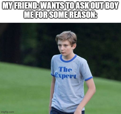 The Expert | MY FRIEND: WANTS TO ASK OUT BOY
ME FOR SOME REASON: | image tagged in the expert | made w/ Imgflip meme maker