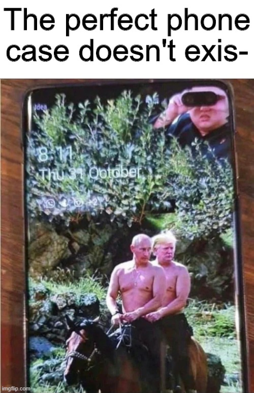This is wonderful | The perfect phone case doesn't exis- | image tagged in memes,funny,phone,donald trump,art | made w/ Imgflip meme maker