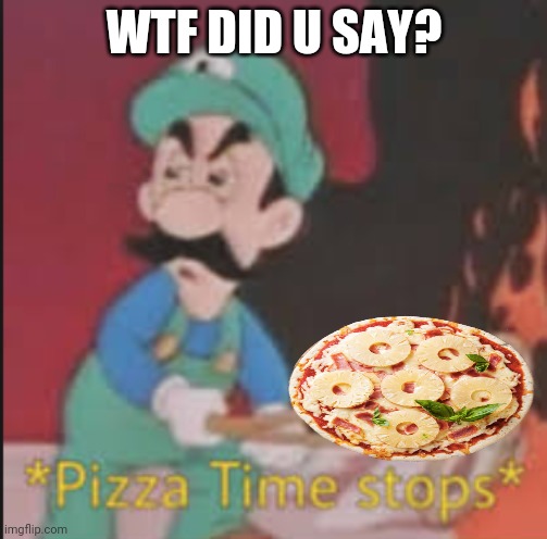 Pizza Time Stops | WTF DID U SAY? | image tagged in pizza time stops | made w/ Imgflip meme maker