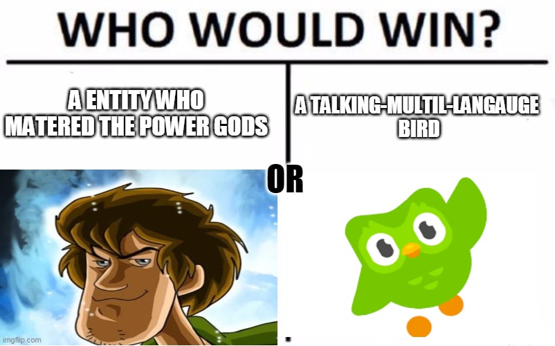 Who Would Win? Meme | A ENTITY WHO MATERED THE POWER GODS; A TALKING-MULTIL-LANGAUGE
 BIRD; OR | image tagged in memes,who would win | made w/ Imgflip meme maker