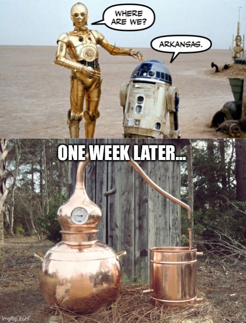 In A Land Far Far Away | ONE WEEK LATER... | image tagged in funny memes | made w/ Imgflip meme maker