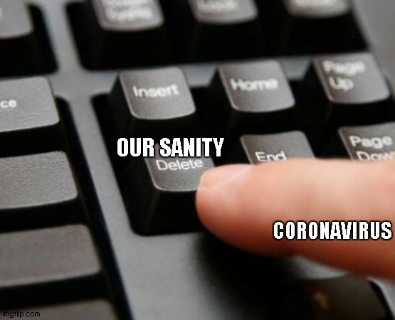it be true tho | OUR SANITY; CORONAVIRUS | image tagged in delete | made w/ Imgflip meme maker