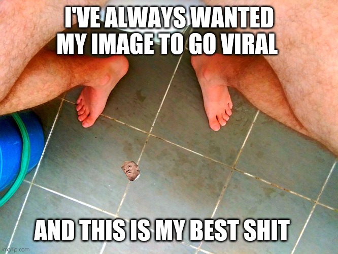 Viral ? | I'VE ALWAYS WANTED MY IMAGE TO GO VIRAL; AND THIS IS MY BEST SHIT | image tagged in good shit happens here | made w/ Imgflip meme maker