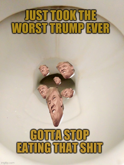 I gotta take a trump | JUST TOOK THE WORST TRUMP EVER; GOTTA STOP EATING THAT SHIT | image tagged in toilet time,trump,make america great again | made w/ Imgflip meme maker