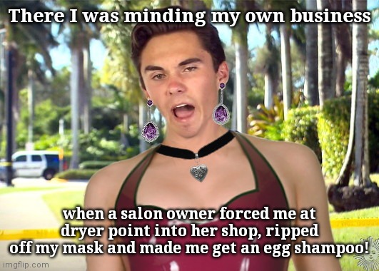 Shampoogate | There I was minding my own business; when a salon owner forced me at dryer point into her shop, ripped off my mask and made me get an egg shampoo! | image tagged in davida hogg,david hogg,pelosi,hair salon scandal,shampoogate,political humor | made w/ Imgflip meme maker