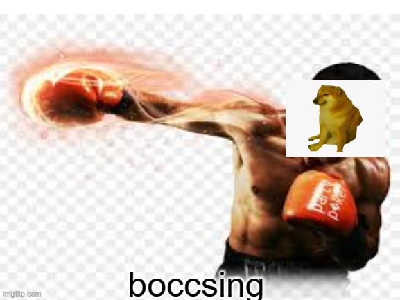 cheems do boccsing | boccsing | image tagged in boxing,cheems | made w/ Imgflip meme maker