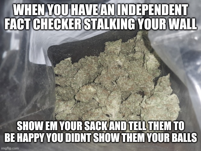 WHEN YOU HAVE AN INDEPENDENT FACT CHECKER STALKING YOUR WALL; SHOW EM YOUR SACK AND TELL THEM TO BE HAPPY YOU DIDNT SHOW THEM YOUR BALLS | image tagged in facebook | made w/ Imgflip meme maker