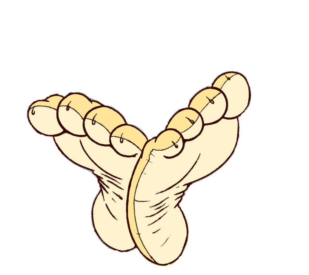 Lion Feet Template Blank Meme Template