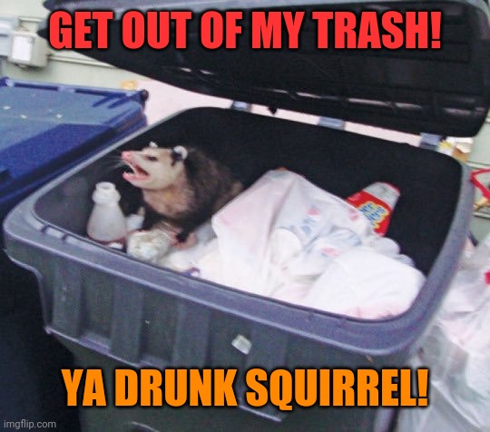 Trash Possum | GET OUT OF MY TRASH! YA DRUNK SQUIRREL! | image tagged in trash possum | made w/ Imgflip meme maker