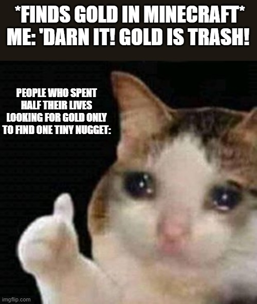 sad thumbs up cat | *FINDS GOLD IN MINECRAFT*
ME: 'DARN IT! GOLD IS TRASH! PEOPLE WHO SPENT HALF THEIR LIVES LOOKING FOR GOLD ONLY TO FIND ONE TINY NUGGET: | image tagged in sad thumbs up cat | made w/ Imgflip meme maker