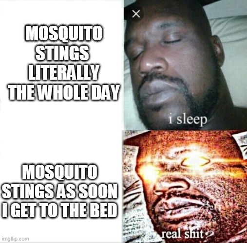 Sleeping shaq | MOSQUITO STINGS  LITERALLY THE WHOLE DAY; MOSQUITO STINGS AS SOON I GET TO THE BED | image tagged in memes,sleeping shaq | made w/ Imgflip meme maker