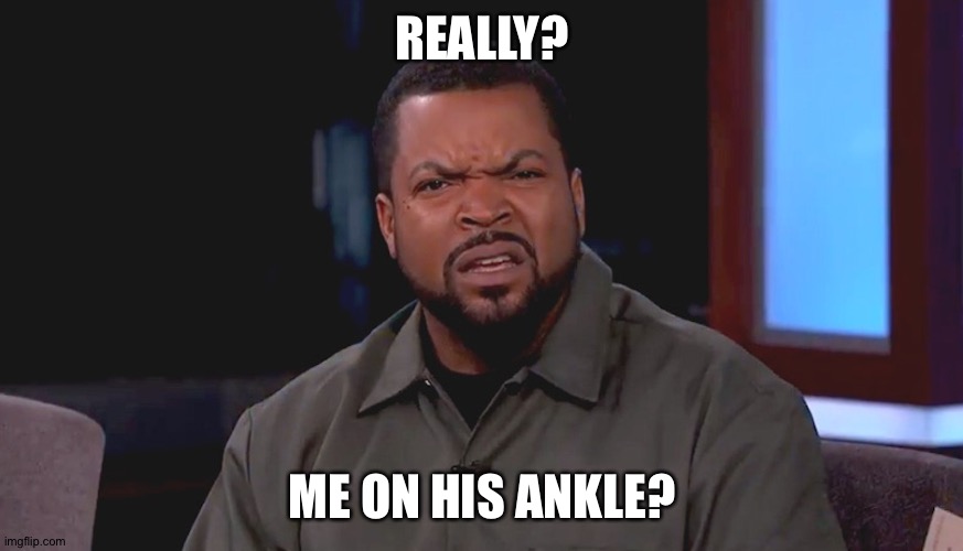Really? Ice Cube | REALLY? ME ON HIS ANKLE? | image tagged in really ice cube | made w/ Imgflip meme maker