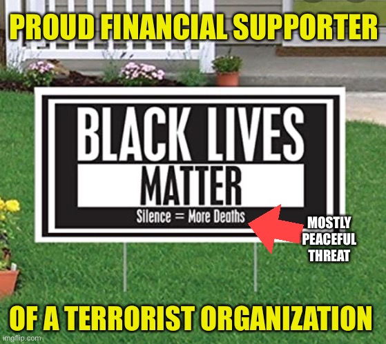 Mostly anti-American | PROUD FINANCIAL SUPPORTER; MOSTLY PEACEFUL THREAT; OF A TERRORIST ORGANIZATION | image tagged in blm,antifa,violence is never the answer,terrorism,democrats | made w/ Imgflip meme maker