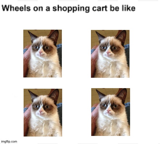 I hate it when this happens | image tagged in wheels on a shopping cart be like,memes,funny,cats,shopping cart,oh wow are you actually reading these tags | made w/ Imgflip meme maker