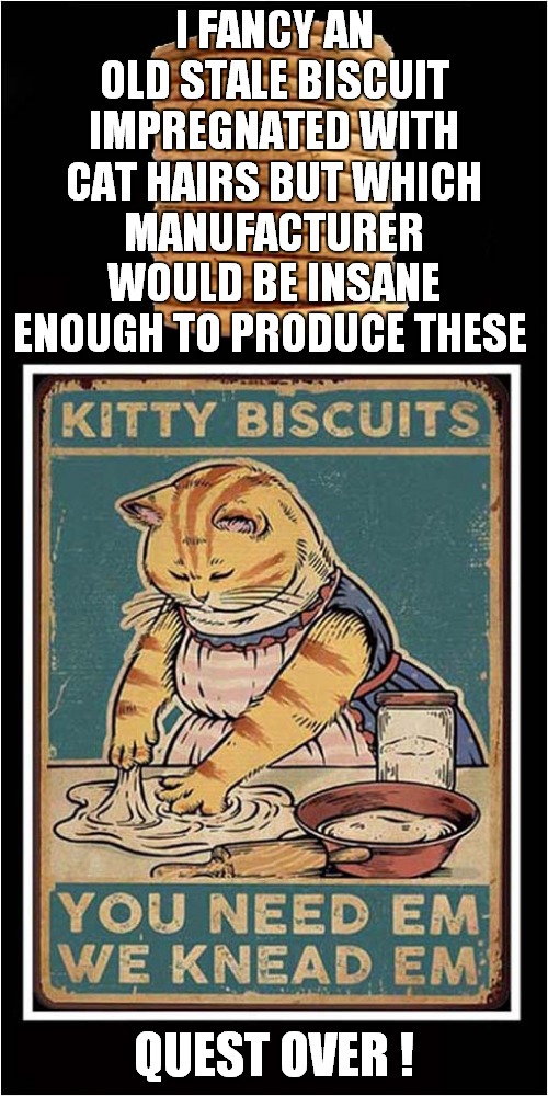 Hairy Kitty Biscuits | I FANCY AN OLD STALE BISCUIT IMPREGNATED WITH CAT HAIRS BUT WHICH MANUFACTURER WOULD BE INSANE ENOUGH TO PRODUCE THESE; QUEST OVER ! | image tagged in fun,biscuits,cats | made w/ Imgflip meme maker