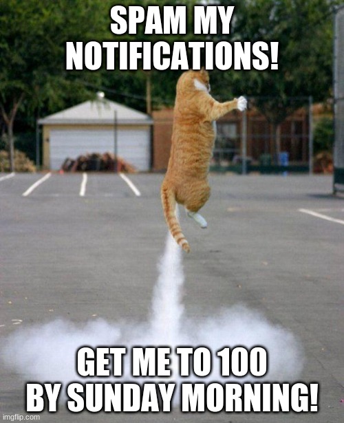 Rocket cat | SPAM MY NOTIFICATIONS! GET ME TO 100 BY SUNDAY MORNING! | image tagged in rocket cat | made w/ Imgflip meme maker