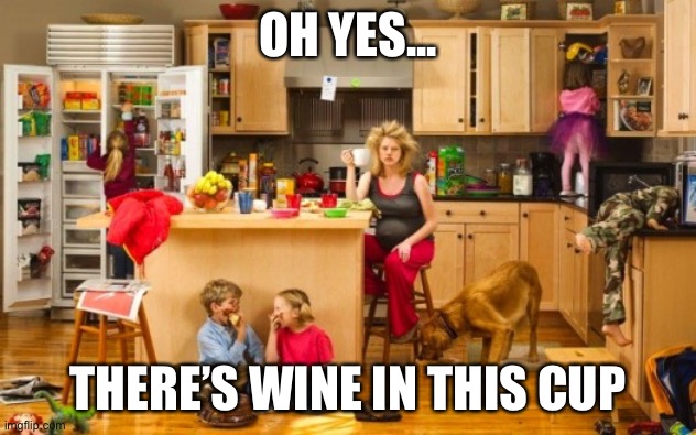 How to Mom under stress | OH YES... THERE’S WINE IN THIS CUP | image tagged in mom can we have,stressed meme,wine drinker | made w/ Imgflip meme maker