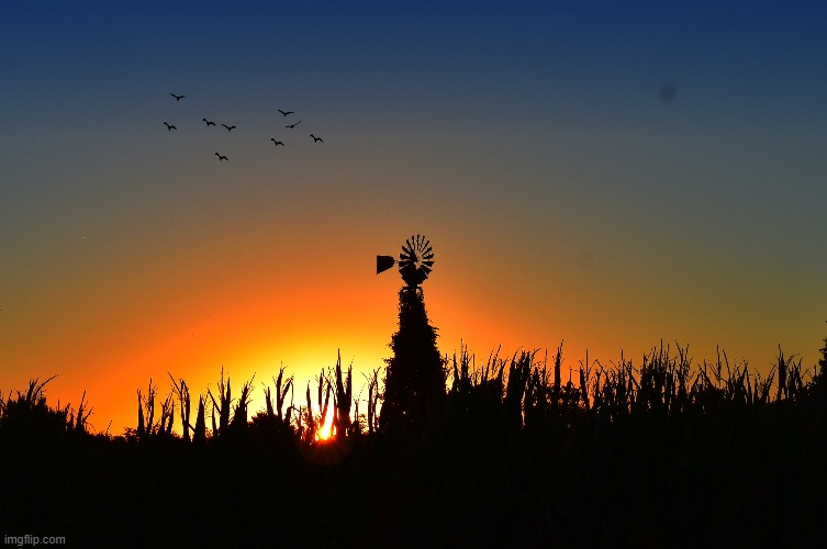 good morning! | image tagged in sunrise,windmill,cornfield | made w/ Imgflip meme maker