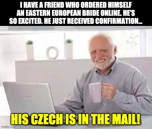 Harold | I HAVE A FRIEND WHO ORDERED HIMSELF AN EASTERN EUROPEAN BRIDE ONLINE. HE’S SO EXCITED. HE JUST RECEIVED CONFIRMATION…; HIS CZECH IS IN THE MAIL! | image tagged in harold | made w/ Imgflip meme maker