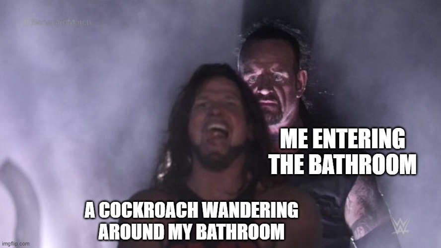 AJ Styles & Undertaker | ME ENTERING THE BATHROOM; A COCKROACH WANDERING AROUND MY BATHROOM | image tagged in aj styles undertaker | made w/ Imgflip meme maker