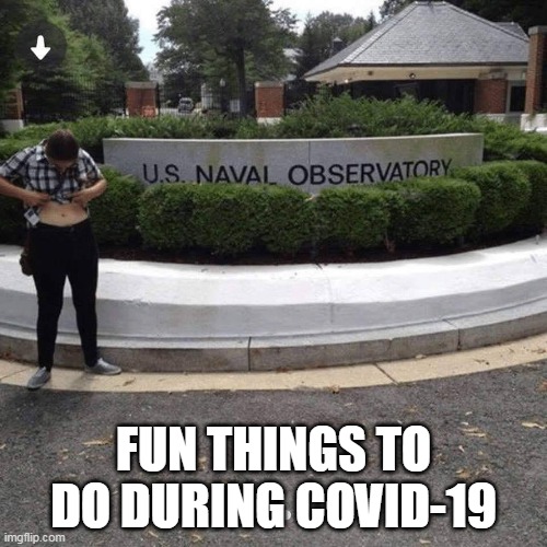 Covid contemplate observe belly button navel naval | FUN THINGS TO DO DURING COVID-19 | image tagged in coronavirus | made w/ Imgflip meme maker