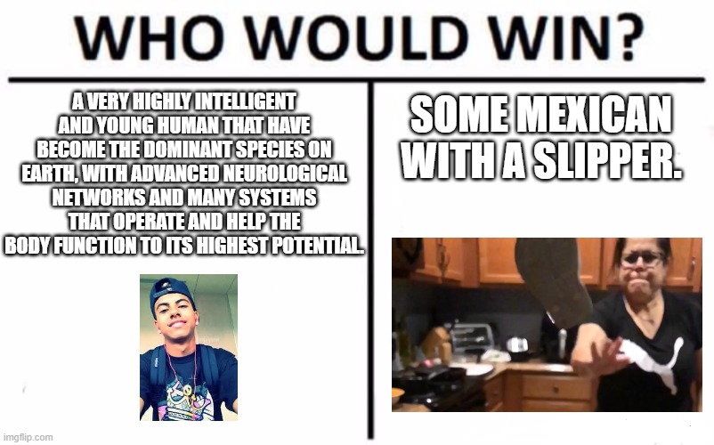Who Would Win? | A VERY HIGHLY INTELLIGENT AND YOUNG HUMAN THAT HAVE BECOME THE DOMINANT SPECIES ON EARTH, WITH ADVANCED NEUROLOGICAL NETWORKS AND MANY SYSTEMS THAT OPERATE AND HELP THE BODY FUNCTION TO ITS HIGHEST POTENTIAL. SOME MEXICAN WITH A SLIPPER. | image tagged in memes,who would win | made w/ Imgflip meme maker