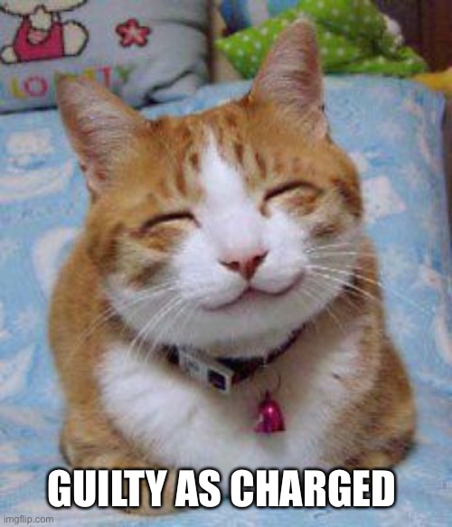 I love you the Meowst | GUILTY AS CHARGED | image tagged in i love you the meowst | made w/ Imgflip meme maker