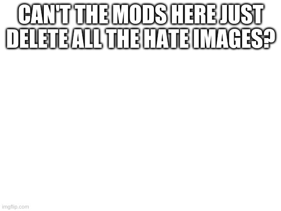 Blank White Template | CAN'T THE MODS HERE JUST DELETE ALL THE HATE IMAGES? | image tagged in blank white template | made w/ Imgflip meme maker