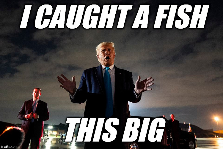Tales of the Unexpected | I CAUGHT A FISH; THIS BIG | image tagged in fishing stories,tall tale,2020,tarmac,runway fashion | made w/ Imgflip meme maker