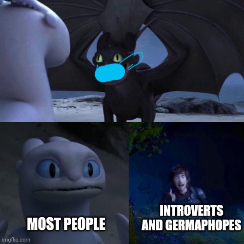night fury | INTROVERTS AND GERMAPHOPES; MOST PEOPLE | image tagged in night fury | made w/ Imgflip meme maker