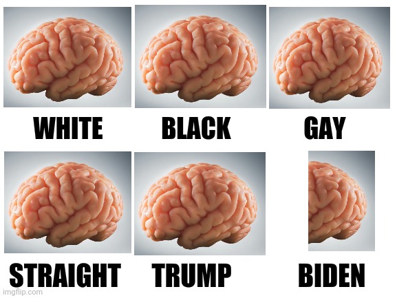 When they "got half a mind to" | WHITE            BLACK               GAY; STRAIGHT      TRUMP             BIDEN | image tagged in blank white template | made w/ Imgflip meme maker