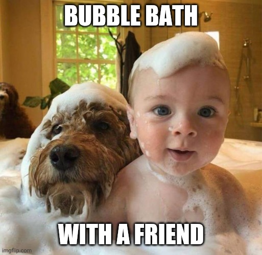 Bath time | BUBBLE BATH; WITH A FRIEND | image tagged in dogs,baby | made w/ Imgflip meme maker