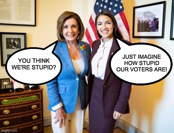 Nancy Pelosi and AOC | JUST IMAGINE HOW STUPID OUR VOTERS ARE! YOU THINK WE'RE STUPID? ThePatriotFederation | image tagged in nancy pelosi and aoc | made w/ Imgflip meme maker