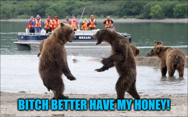 Bear thugs | BITCH BETTER HAVE MY HONEY! | image tagged in memes,bears | made w/ Imgflip meme maker