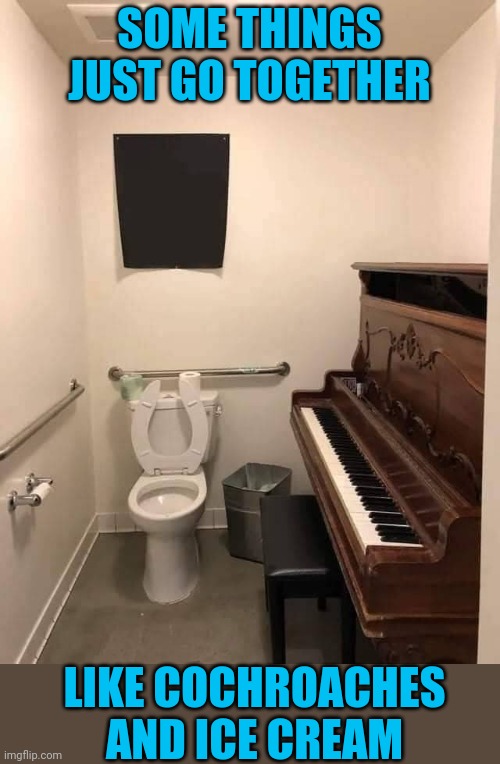 Toilet tunes | SOME THINGS JUST GO TOGETHER; LIKE COCHROACHES AND ICE CREAM | image tagged in memes,piano | made w/ Imgflip meme maker