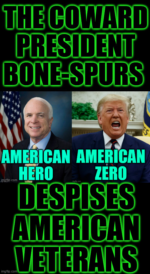 Trump says dead WWII soldiers are "idiots" & calls other American soldiers, "losers and suckers"! Dump this coward! Dump Trump! | DESPISES AMERICAN VETERANS | image tagged in trump is a coward,trump unfit unqualified dangerous,trump hates veterans,dump trump,president bone-spurs,2020 elections | made w/ Imgflip meme maker