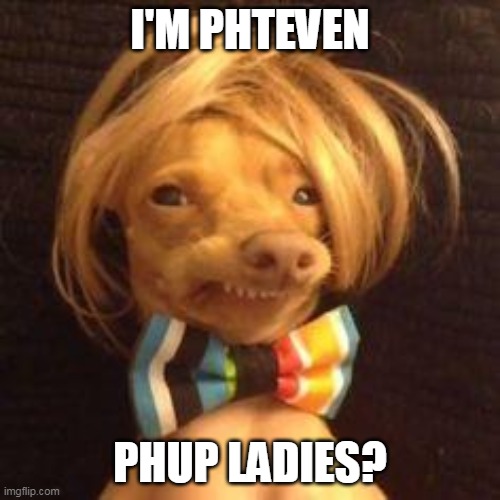 FEEL THE LOVE |  I'M PHTEVEN; PHUP LADIES? | image tagged in phteven dog | made w/ Imgflip meme maker