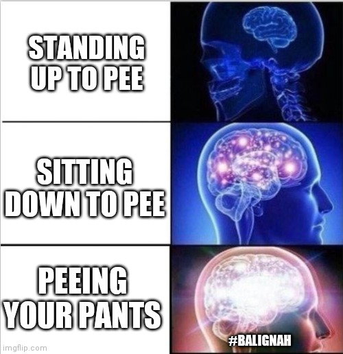 Next level | STANDING UP TO PEE; SITTING DOWN TO PEE; PEEING YOUR PANTS; #BALIGNAH | image tagged in expanded woke 3 mind brain,original meme,funny,funny memes,dank memes | made w/ Imgflip meme maker