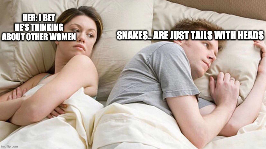 snakes are just tails with heads | HER: I BET HE'S THINKING ABOUT OTHER WOMEN; SNAKES.. ARE JUST TAILS WITH HEADS | image tagged in i bet he's thinking about other women,snakes,memes,snakes are just tails with heads | made w/ Imgflip meme maker