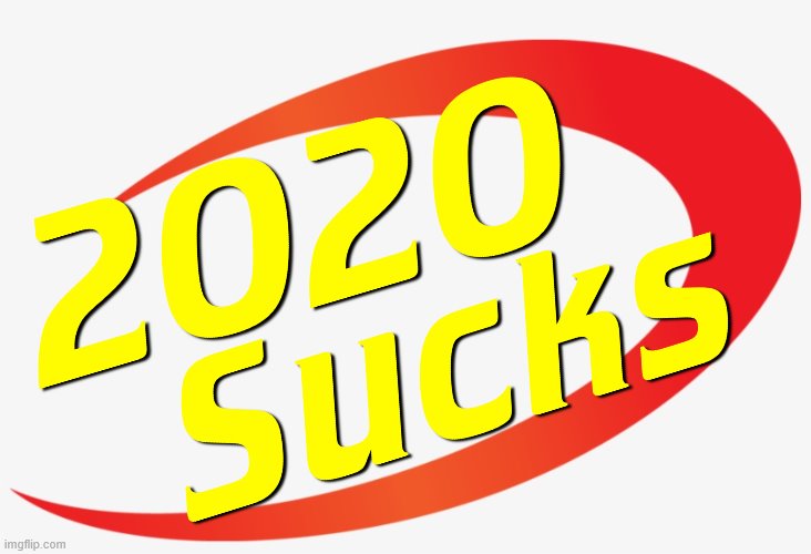 I couldn't get the background in black | image tagged in 2020,2020 sucks,nerf,too damn high,logo,bible | made w/ Imgflip meme maker