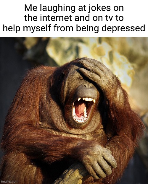 Laughter is one of the things that helps with my depression. | Me laughing at jokes on the internet and on tv to help myself from being depressed | image tagged in laughter,laugh,memes,meme,depression,laughing | made w/ Imgflip meme maker