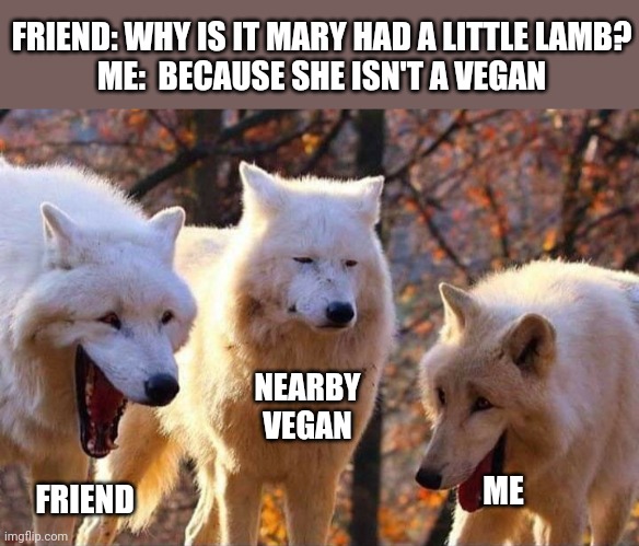 Laughing wolf | FRIEND: WHY IS IT MARY HAD A LITTLE LAMB?
ME:  BECAUSE SHE ISN'T A VEGAN ME FRIEND NEARBY VEGAN | image tagged in laughing wolf | made w/ Imgflip meme maker