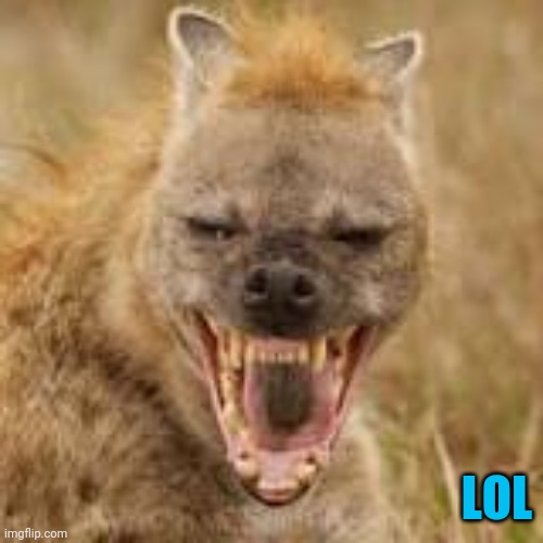 Mohawk hyena | LOL | image tagged in mohawk hyena | made w/ Imgflip meme maker