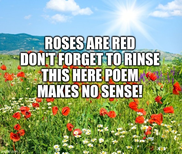 :P | ROSES ARE RED
DON'T FORGET TO RINSE
THIS HERE POEM
MAKES NO SENSE! | image tagged in poetic landscape,poes,poetry,memes,don't forget to rinse,lol | made w/ Imgflip meme maker